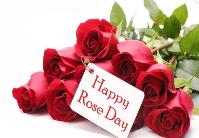 Rose Day Special: लव एट फर्स्ट साइट यानि पहली नजर में पंसद आने पर इस रंग का रोज देकर बताएं अपने दिल की बात