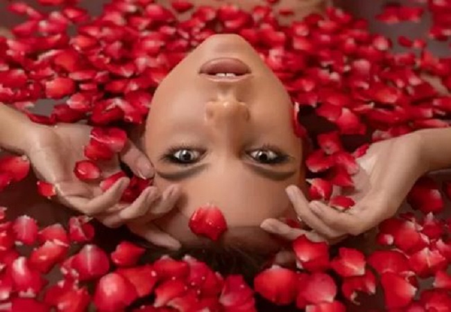 Rose petal face pack: गुलाब की पंखुड़ियों से पाएं खिला-खिला चेहरा और निखार, घर में ऐसे बनाएं फेसपैक