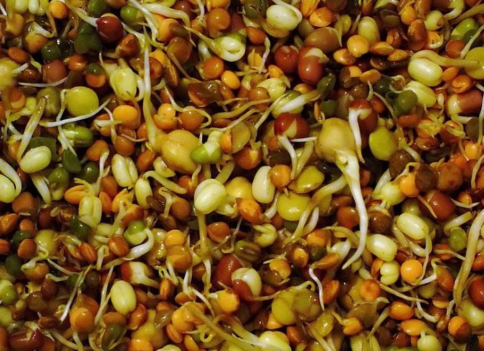 Sprouts Grains Benefits : बड़ी बीमरियों को छूमंतर कर देगा Sprouts, डेली खाने से होंगे फायदे
