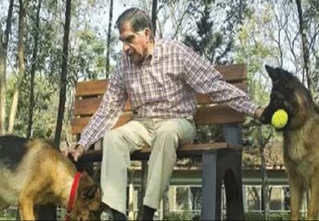 Ratan Tata को US में कराना पड़ा था अपने कुत्ते का इलाज, अब 165 करोड़ खर्च कर बनवा दिया जानवरों का अस्पताल