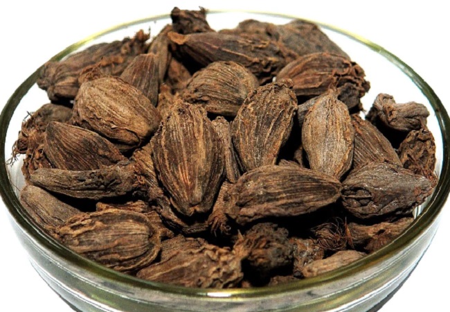 Benefits of black cardamom: काली इलायची खाने में टेस्ट और खुशबू ही नहीं हेल्थ के लिए भी होती है फायदेमंद