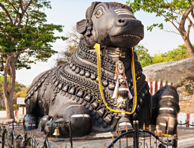 Nandi Puja : भगवान शिव की पूजा में नंदी भक्ति विशेष है , माने जाते है शक्ति के प्रतीक