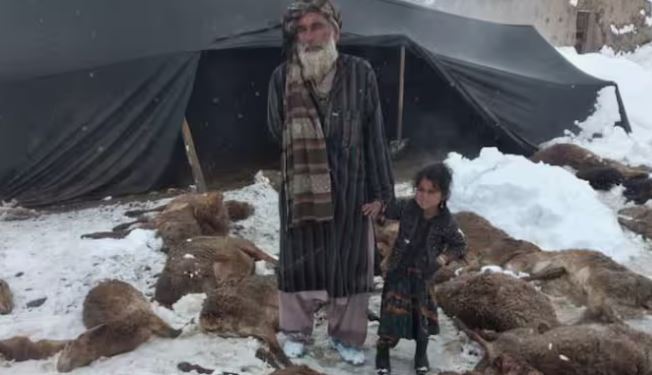 AfghanistanHeavy snowfall : अफगानिस्तान में भारी बर्फबारी से 15 लोगों की मौत, सरकार ने उठाए जरूरी कदम