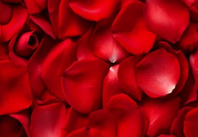 Benefits of eating rose petals