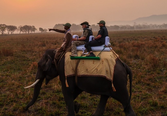 Watch : पीएम नरेंद्र मोदी ने की काजीरंगा उद्यान की सैर, हाथी पर हुए सवार