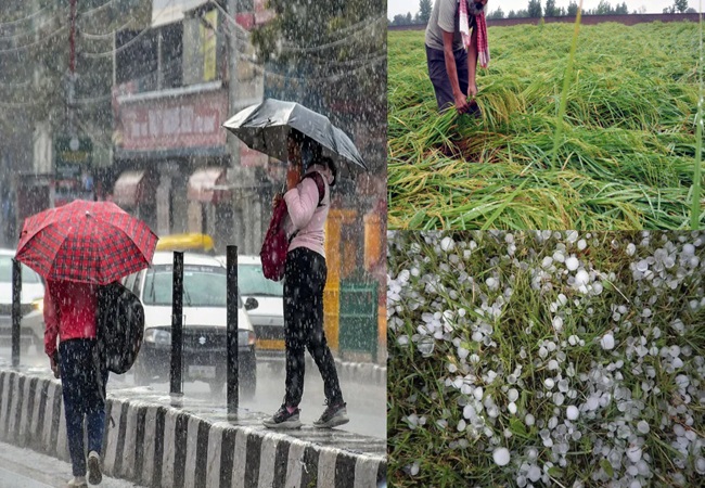 UP Rainfall Hailstorm Alert : यूपी में बेमौसम बरसात ने बढ़ाई ठंड, तेज हवा से गिरीं फसलें; ओलावृष्टि और वज्रपात का अलर्ट