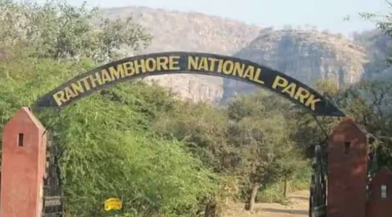 Best Places Visit March : रणथम्बोर नेशनल पार्क की करें सैर , मार्च में घूमने के लिए बेहतरीन स्थल है