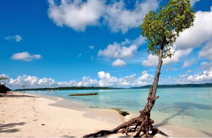 Andaman Islands Trip : क्रिस्टल-साफ नीला पानी देखना चाहते हैं तो आए यहां , इस समुद्र तट पर सूर्यास्त का शानदार नजारा दिखता है