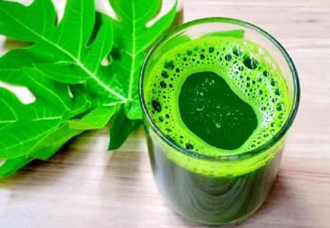 Benefits of papaya leaves juice