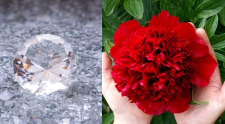 Chinese Scientist Create Diamond : चीन के वैज्ञानिकों ने किया कमाल , पहली बार लाल पियोनी फूल से बनाया हीरा