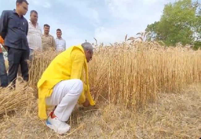 Viral Video: हाथ में हसिया लेकर खेत में फसल काटते नजर आये कैबिनेट मंत्री ओपी राजभर