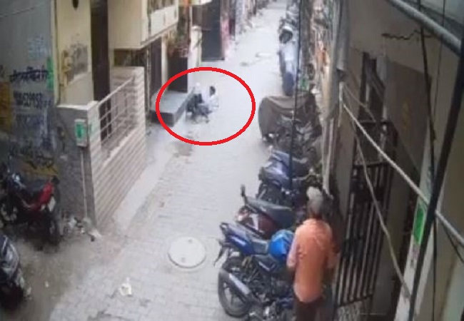 Viral Video: गाजियाबाद में पिटबुल डॉग ने नाबालिग बच्चे पर किया हमला, स्थिति नाजुक