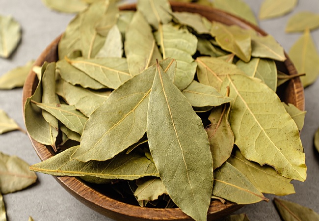 Benefits of bay leaf: हाई ब्लड प्रेशर हो या फिर लो सेहत के लिए फायदेमंद होता है तेजपत्ता का पानी, शुगर में भी मिलती है आराम