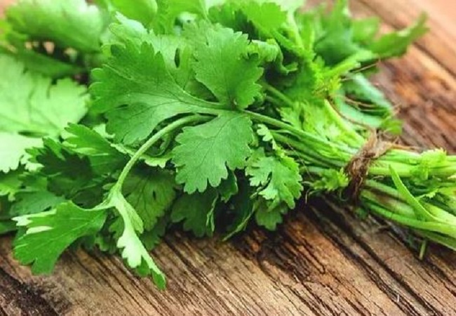 how to store green coriander