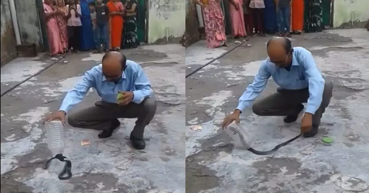 Shocking Video: देखते देखते शख्स ने कोबरा को बोतल में उतारा , देखने वालों के उड़े होश