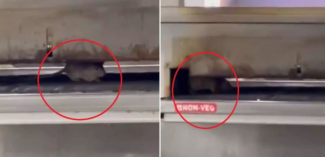 Shocking Video: जब पिज्जा आउटलेट के अंदर ओवन में चूहा दौड़ता आया नजर, हैरान करने वाला वीडियो वायरल