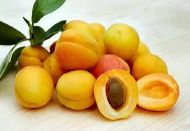 Benefits of apricot: स्किन और पेट से लेकर वजन कम करने तक खुबानी खाने से होते हैं कई चमत्कारी फायदे