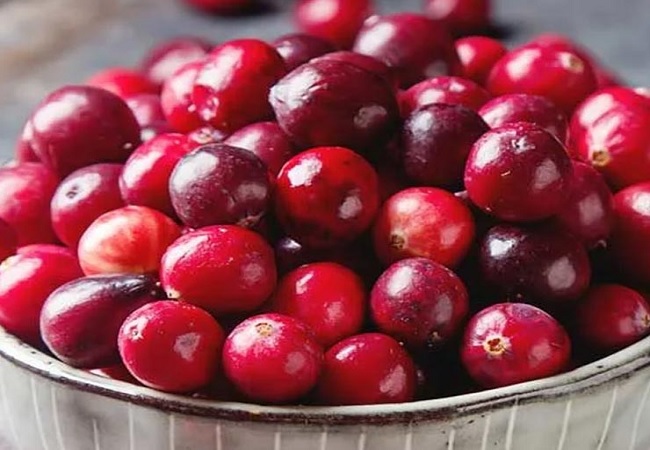 Benefits of Cranberry: महिलाओं के लिए बेहद फायदेमंद होता है क्रैनबेरी का जूस, UTI से करता है रक्षा