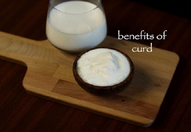 Benefits of Curd : रोजाना करें एक कटोरी दही का सेवन, आपको मिलेंगे कमाल के फायदे