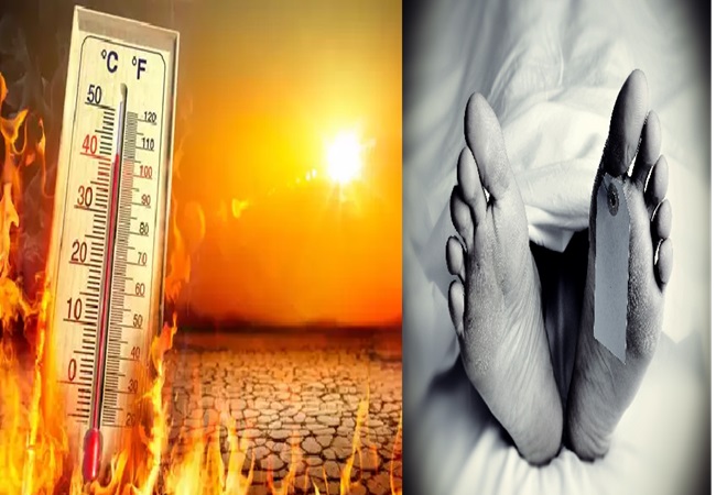 Deadly Heatwave: यूपी में 162 तो बिहार में 65 लोगों की लू ने ली जान; देशभर में 270 से ज्यादा मौतें