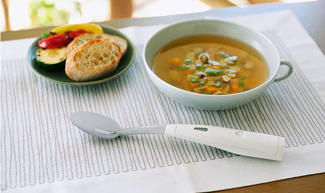 Electric Salt Spoon : अब जापान में इलेक्ट्रिक चम्मच लॉन्च, स्वस्थ जीवनशैली के लिए खाने की आदतों को बढ़ावा देगा