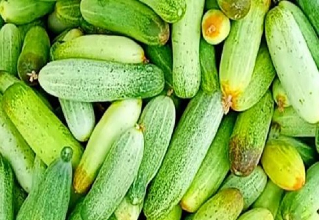 Trick to buy cucumber: इस Trick से खरीदेंगे खीरा तो न स्वाद में होगा कड़वा और न खराब
