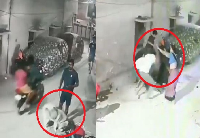 Viral video: हैदराबाद में कुत्ते को टहला रहे युवक की लोगो ने की बर्बरता पूर्वक पिटाई, ये है वजह