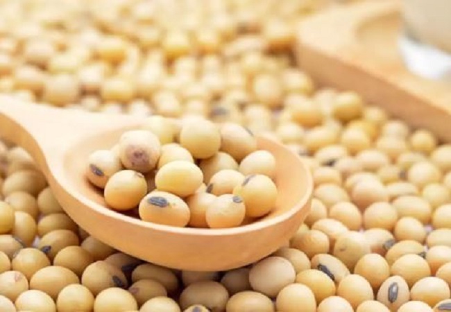 Benefits of soybean: वेजीटेरियन लोगो के लिए प्रोटीन का अच्छा स्त्रोत है सोयाबीन, खाने से होते हैं ये फायदे