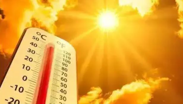 Summer Health Care Tips : छाछ का सेवन शरीर को ठंडा रखता है , गर्मी के मौसम में खाएं दही