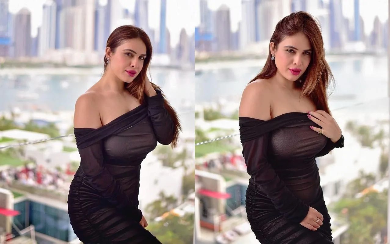 Neha Malik hot Pic: नेहा मलिक ने गॉर्जियस अवतार में शेयर की हॉट तस्वीरें, बॉडीकॉन आउटफिट में तस्वीरें हुई वायरल