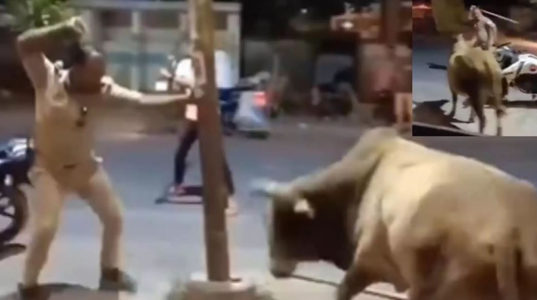 Viral Video: बीच सड़क पर डंडे से बैल को मारने लगा पुलिसकर्मी, फिर हुआ कुछ ऐसा …