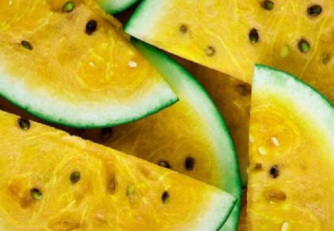 Benefits of yellow watermelon: कौन सा तरबूज होता है अधिक मीठा और सेहतमंद, पीला वाला या लाल वाला
