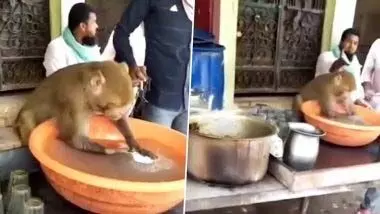 Viral Video: ढाबे पर नौकरी करता दिखा बंदर, प्लेटे साफ करते देख बोले लोग- अब और कितने अच्छे दिन चाहिए…