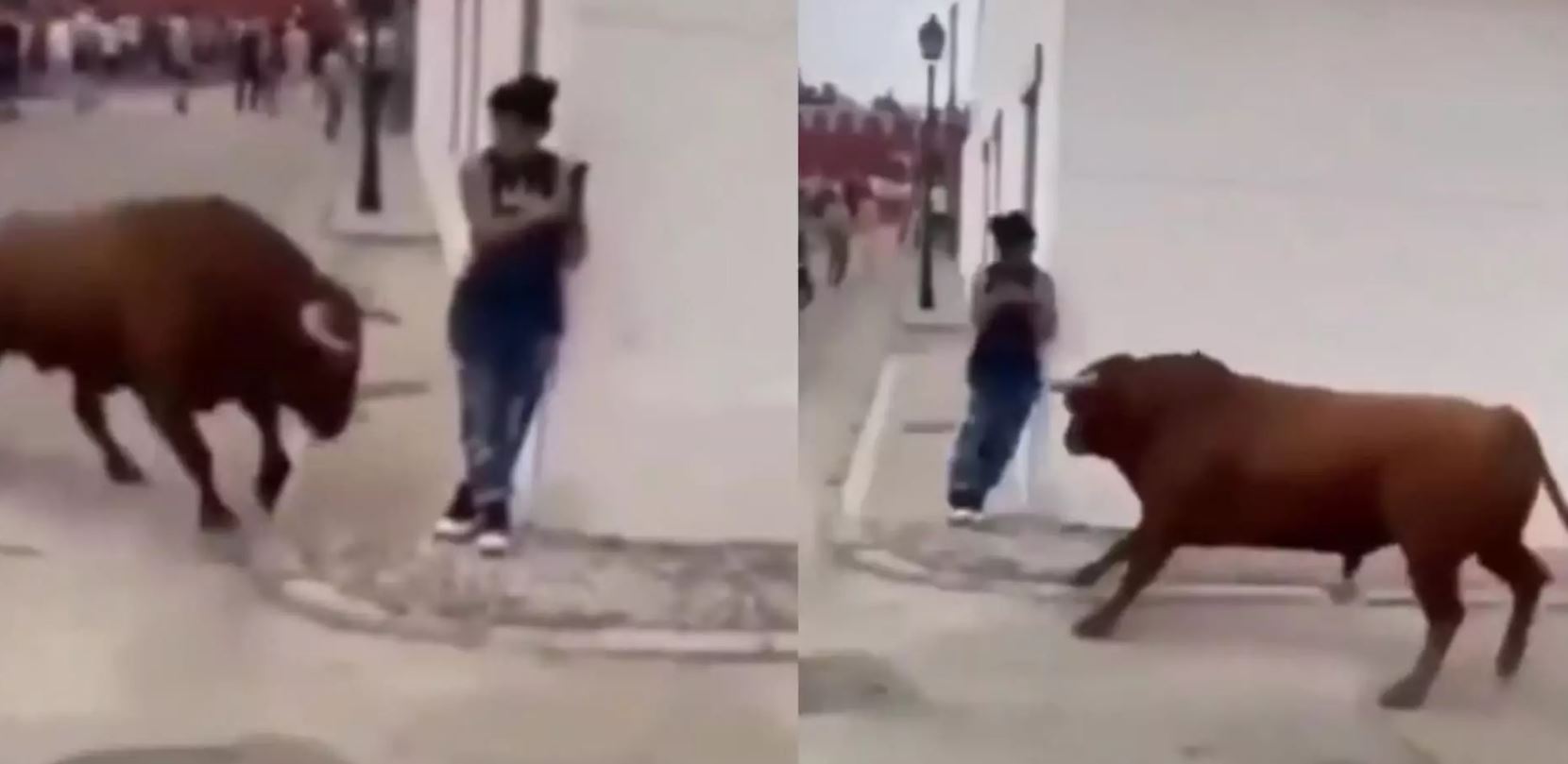 Shocking Video: अचानक गुस्साए बैल ने महिला पर किया अटैक, देख हैरान रह गए लोग