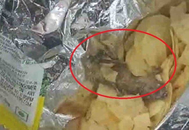 Dead frog found in chips in Gujarat