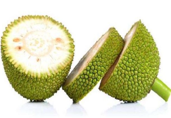 Benefits of Jackfruit: स्वाद में ही नहीं पोषक तत्वों से भी भरपूर होता है कटहल, खाने से होते हैं ये फायदे