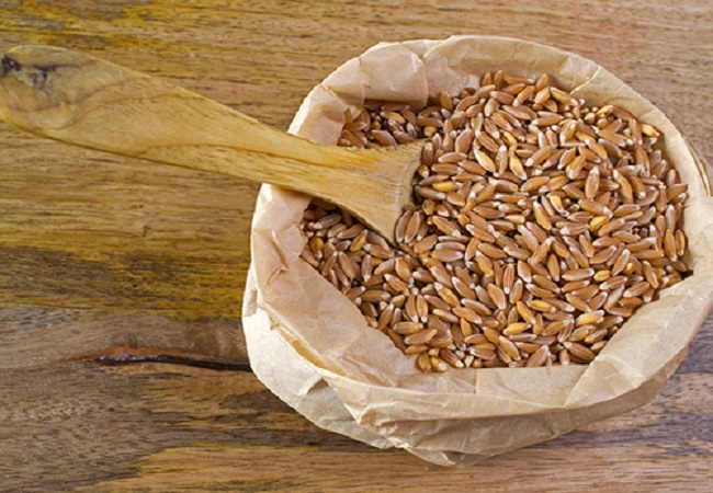 Benefits of husked wheat: ब्लड शुगर को कंट्रोल करने में मदद करता है खपली गेंहू