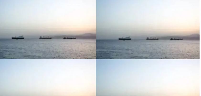 Merchant Ship Attacked in Red Sea : लाल सागर में व्यापारिक जहाज पर हमला, चालक दल का सदस्य लापता