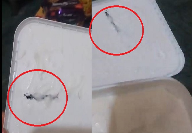 Now a live centipede found in Amul's Vanilla Magic ice cream in Noida