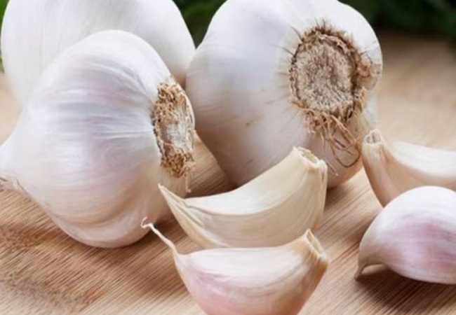 Side effects of eating raw garlic on an empty stomach: सुबह खाली पेट आप भी करते हैं कच्चे लहसुन का सेवन, तो जान लें इससे होने वाले नुकसान