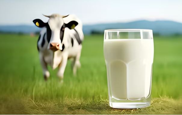 World Milk Day 2024 : विश्व दुग्ध दिवस पर जानें दूध पीने के फायदे , वैश्विक उत्सव बन गया यह दिन