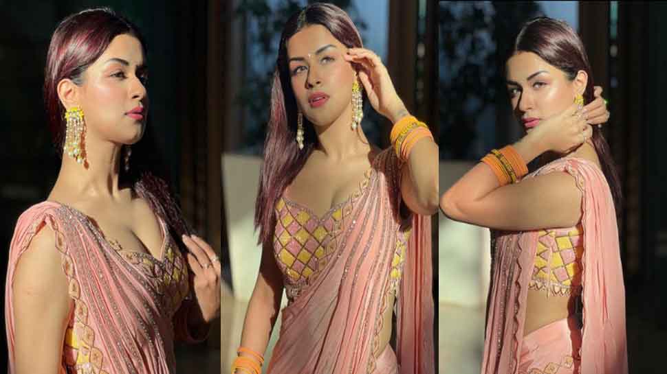 Avneet Kaur Traditional Look: अवनीत कौर ने पिंक आउटफिट शेयर की हॉट तस्वीरें, इंटरनेट पर मचा बवाल