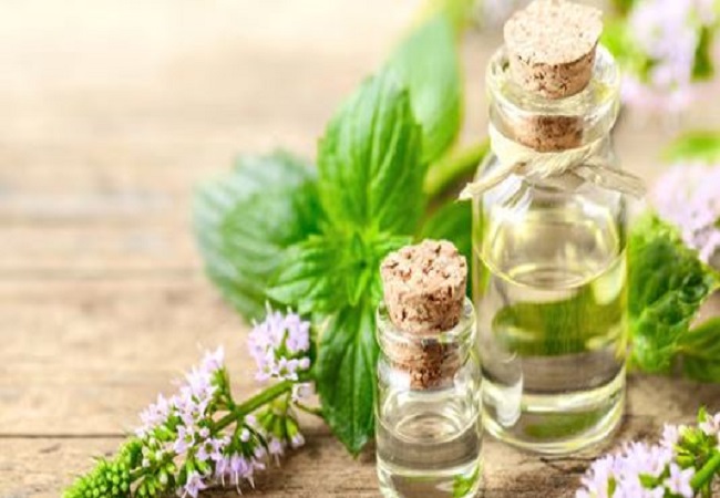 Benefits of Peppermint Oil: ऑयली स्किन के लिए फायदेमंद होता पिपरमिंट ऑयल, चेहरे पर लगाने के होते हैं ये फायदे