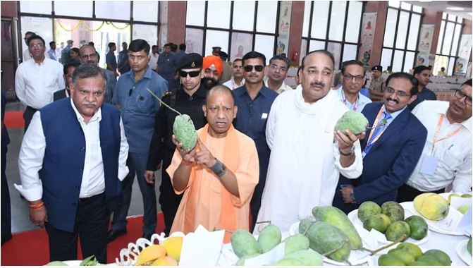 UP Mango Festival 2024 : आम महोत्सव में लगभग 800 से अधिक प्रजातियों की प्रदर्शनी का सीएम योगी ने किया शुभारंभ