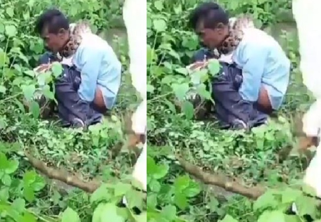 Python caught hold of a person who was defecating in the bushes