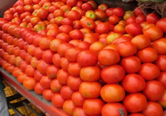 Tomato Price Rise : दिल्ली-एनसीआर में सरकार ने  60 रुपये किलो के भाव पर सब्सिडी वाले टमाटर की बिक्री शुरू की