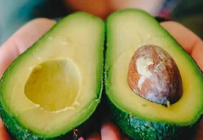 Benefits of avocado kernel: एवाकाडो में ही नहीं इसकी गुठली में होता हैं पोषक तत्वों का खजाना, सेवन करने से होते हैं कई फायदे