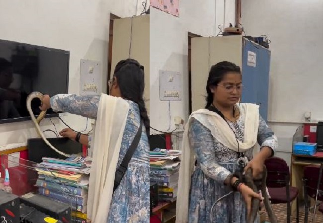 girl caught the snake hiding near the computer in the office.