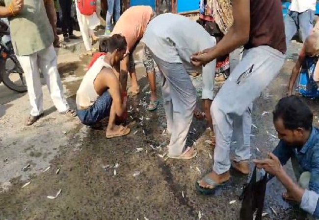 looting took place to collect the fish scattered on the road