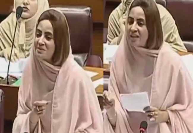 Viral Video: जब पाकिस्तानी महिला सांसद ने स्पीकर से कहा- आंख में आंख डालकर बात करें सर…, स्पीकर ने दिया ऐसा जवाब किया ठहाके से गूंज उठी संसद